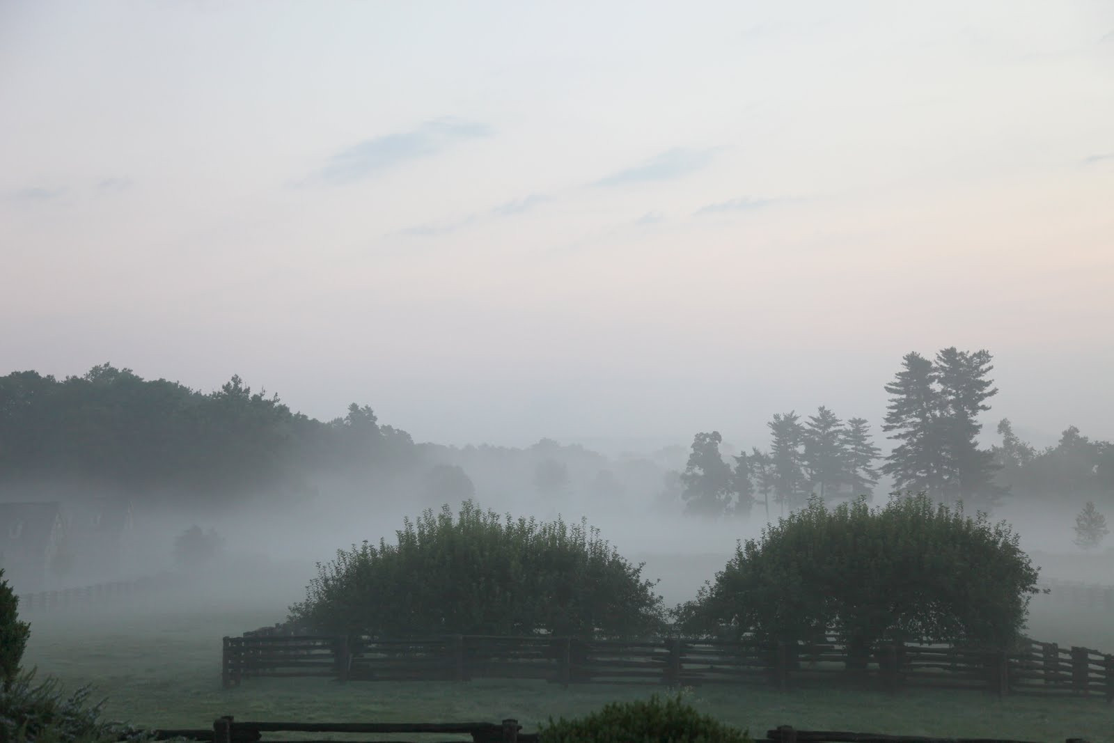 Another early misty morning at the farm, showcasing the serene landscape and the blend of agricultural and natural elements.