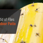 Mesh food covers protecting food on a patio table, demonstrating a practical way to keep flies away during outdoor meals.