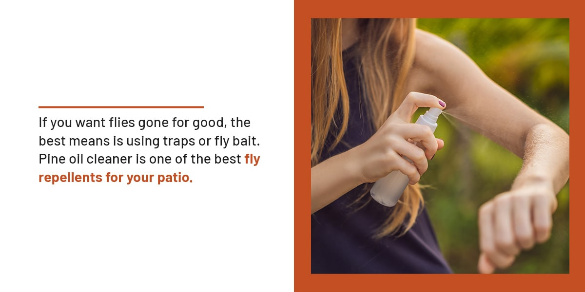 A sticky fly trap hanging outdoors, illustrating a method for capturing and eliminating patio flies.