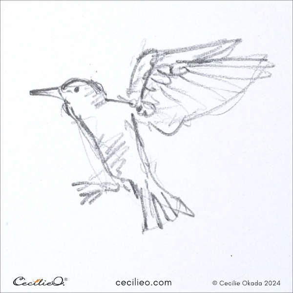 Very fast sketch of a hummingbird in flight, ideal for rapid drawing practice.