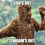 sun