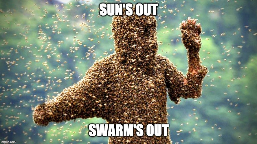 sun