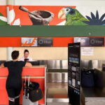 Woman stands at Silver Airways check-in counter.