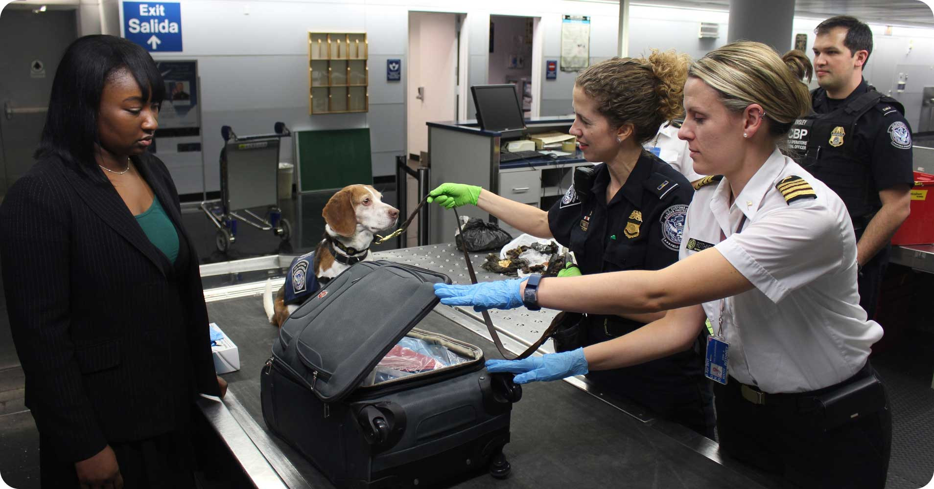 A medium-sized dog sits patiently at an airport gate, with people and luggage carts visible in the background.