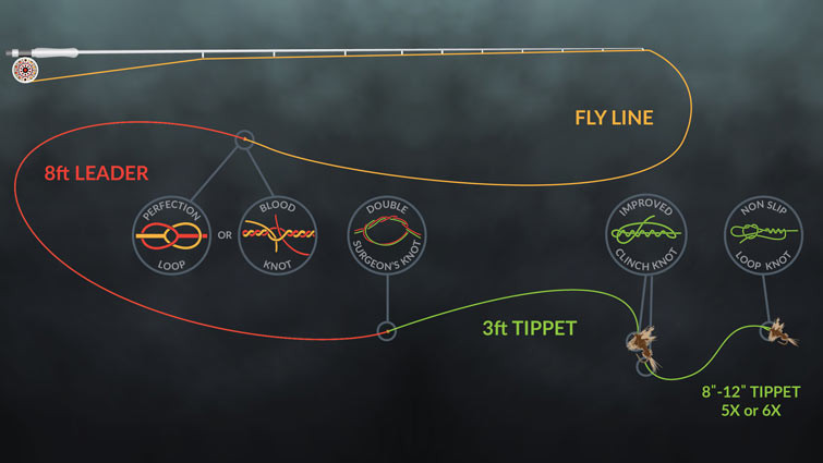 Fly rod setup for fly fishing