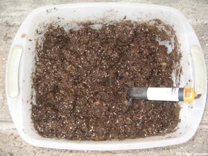 Standard Carnivorous Plant Soil Mix