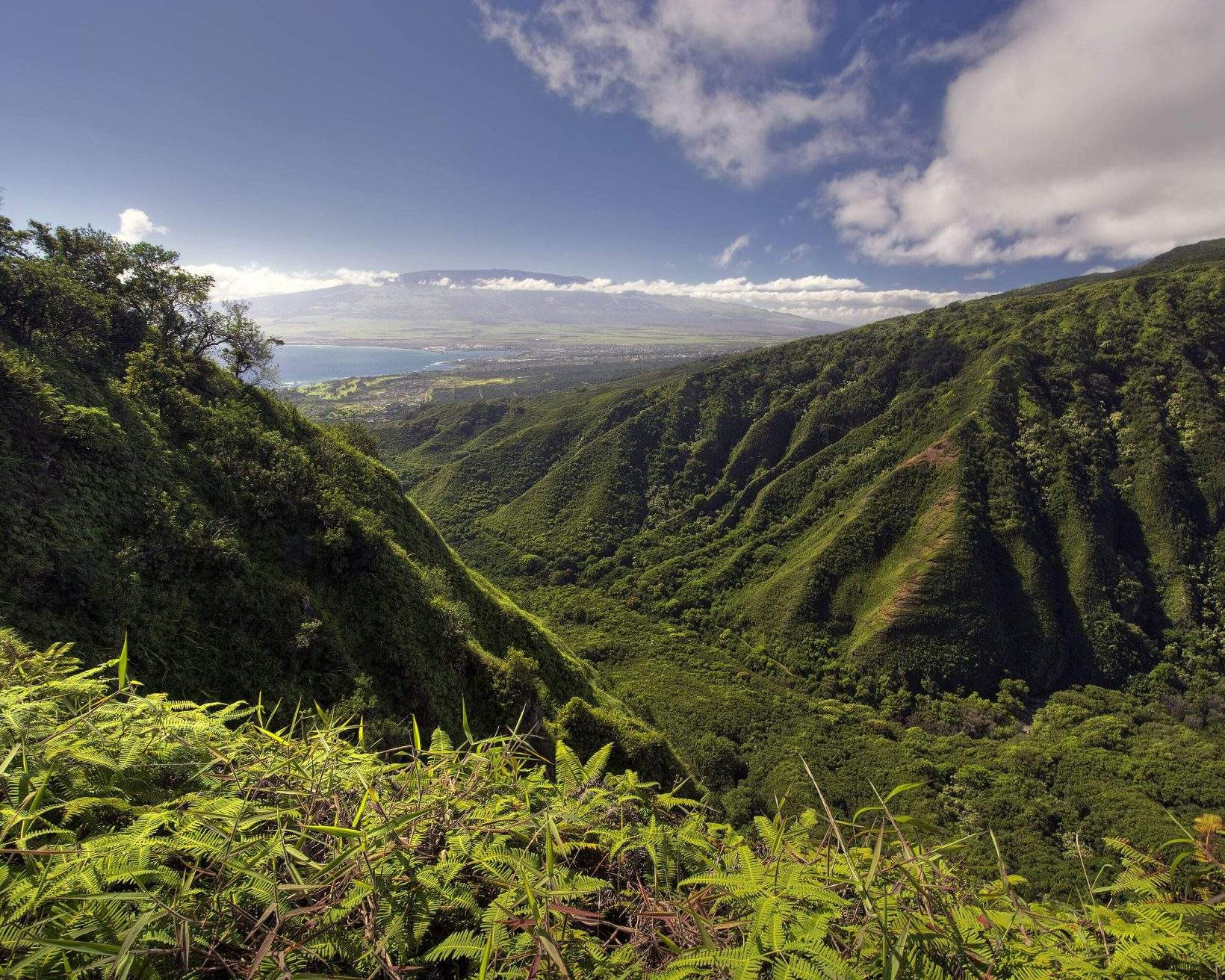 Lush valley views from Maui mountain ridge.