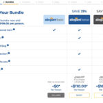 Allegiant Airlines Review: Should I Fly Allegiant Air?