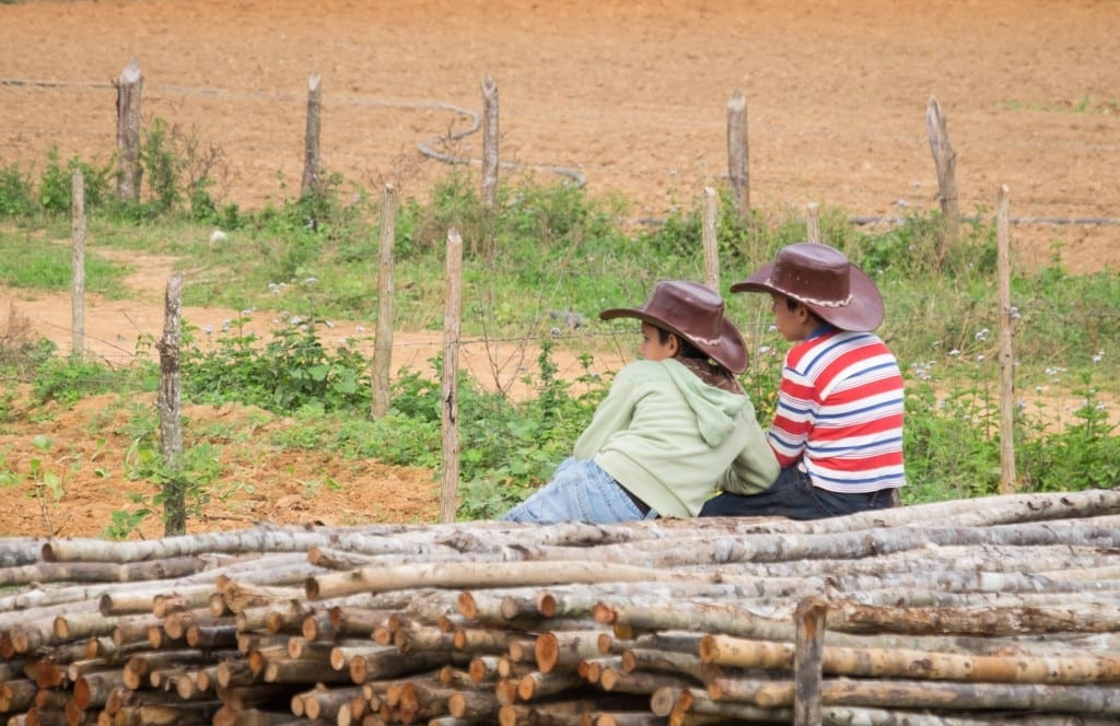 Two young boys in cowboy hats sitting on stacks of wood in Viñales, with their backs to the camera to respect their privacy, capturing a moment of rural Cuban life.