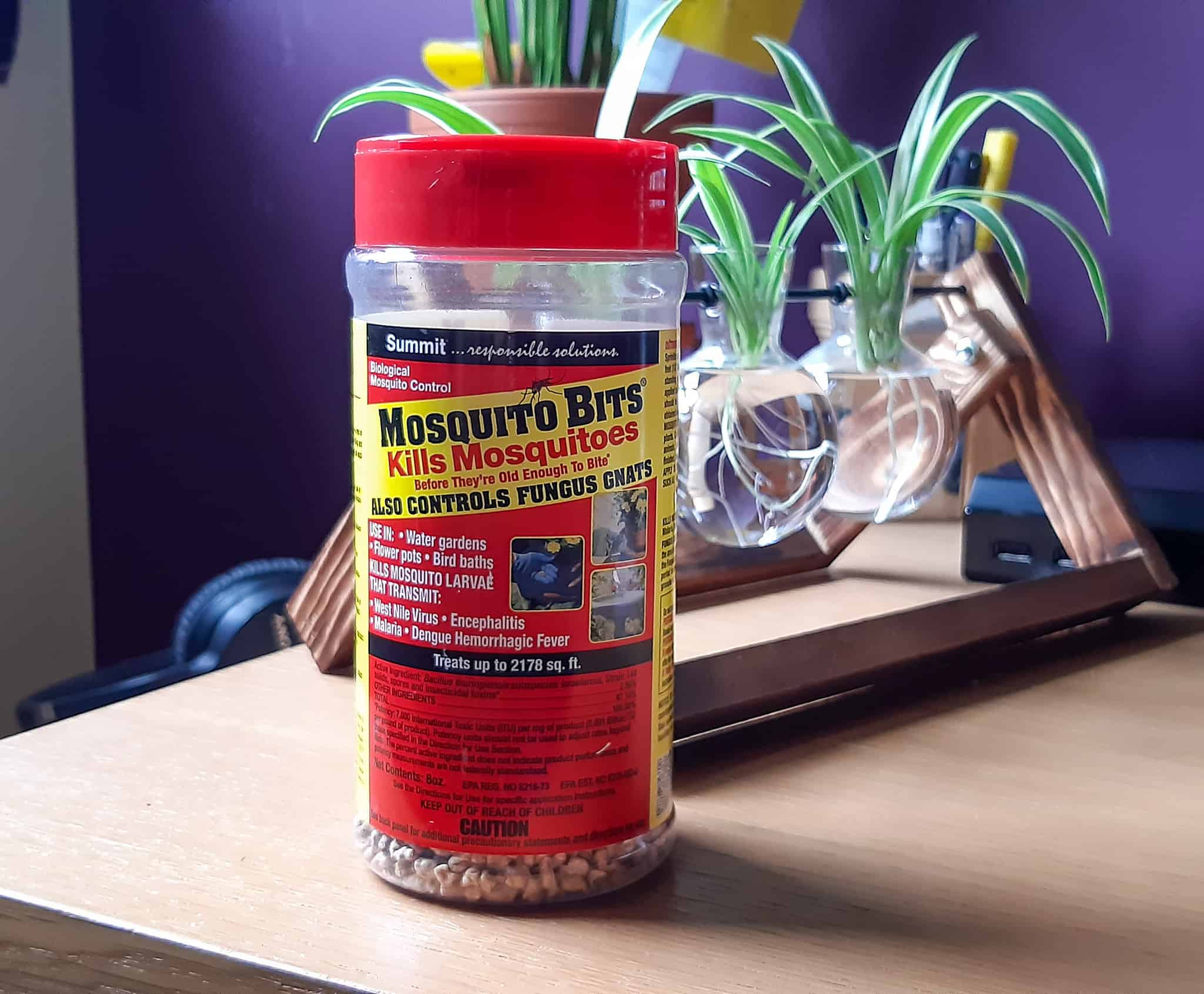 Close-up of Mosquito Bits granules, a natural and effective solution for fly larvae control.