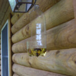 Do Yellow Jackets Fly at Night? Understanding Nocturnal Wasp Behavior