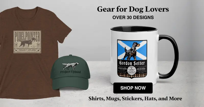 Bird dog gear advertisement