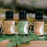 Essential oil bottles in various colors and types.