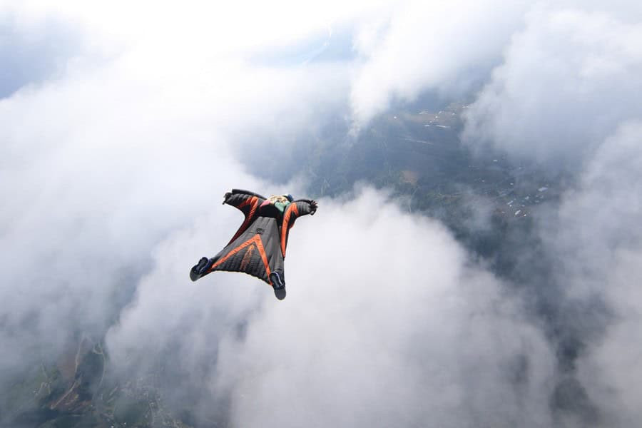 Bird wing anatomy and aerodynamic design for fast flight