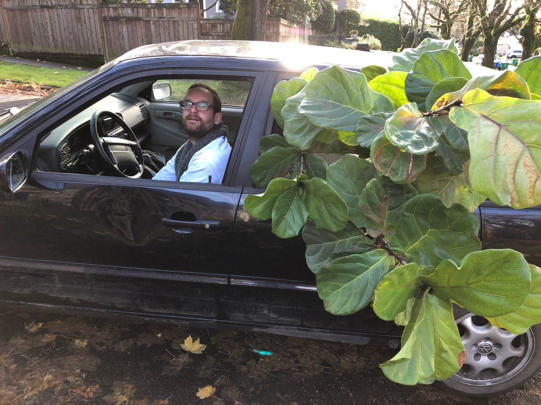 A person holding a small potted plant, ready to be packed for travel, with a focus on the plant's healthy leaves.