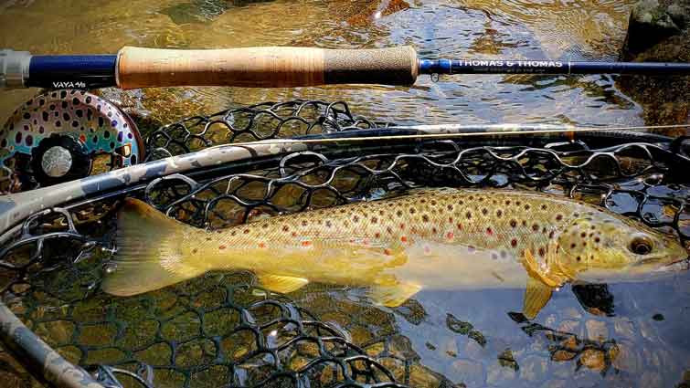 Fly fishing rod in action on a river, showcasing rod length
