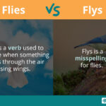 flies vs flys