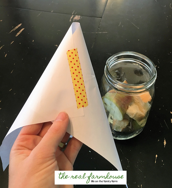 alt text: Rolling a piece of paper into a funnel shape and securing it with tape for a fruit fly trap.