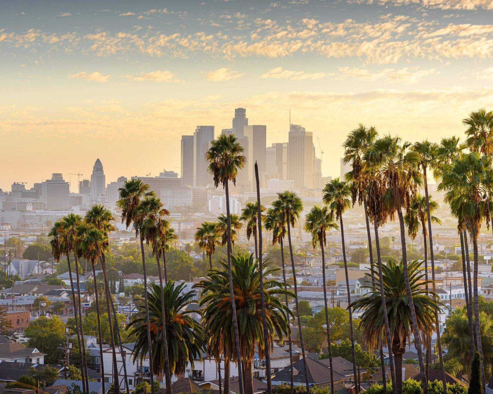 The Los Angeles skyline at sunset, framed by palm trees in the foreground.