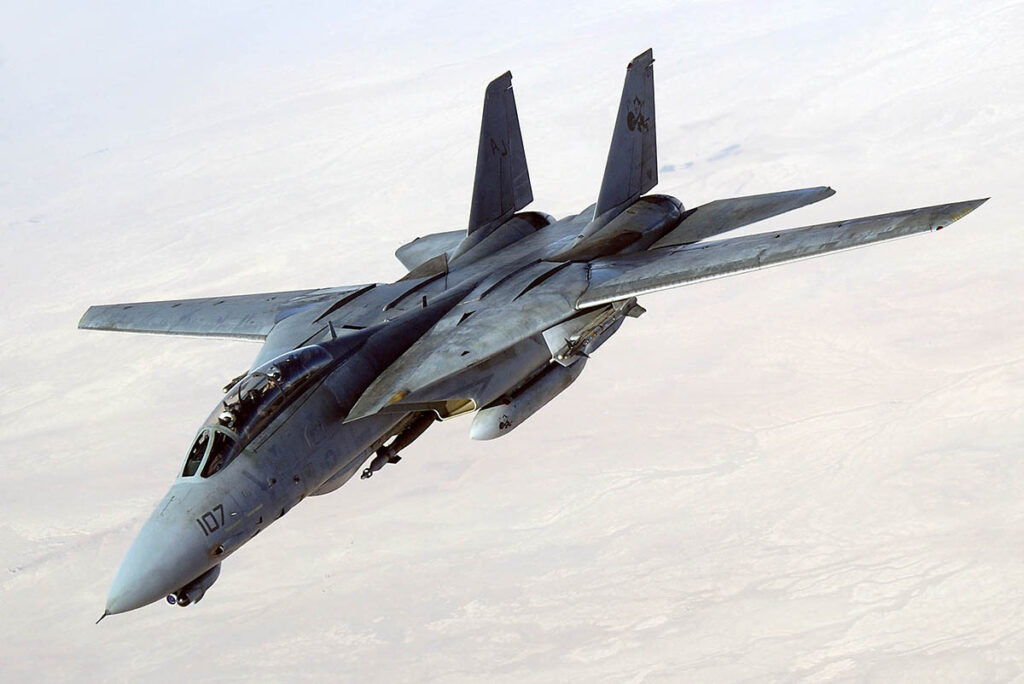 Grumman F-14 Tomcat naval fighter jet
