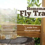 homemade fly trap