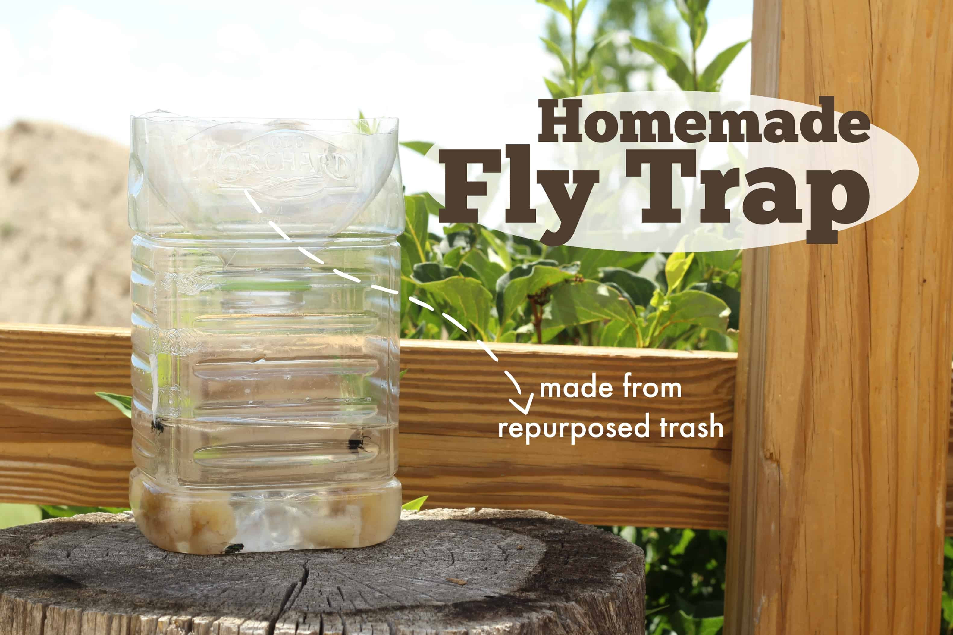 Homemade Fly Trap