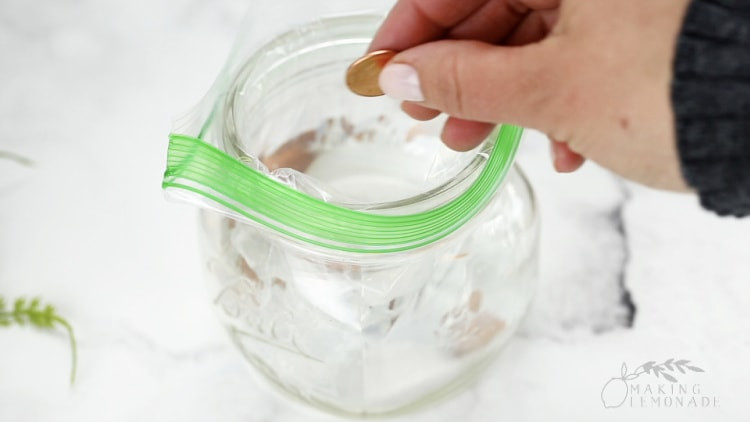 Adding pennies to a water-filled bag for natural fly control