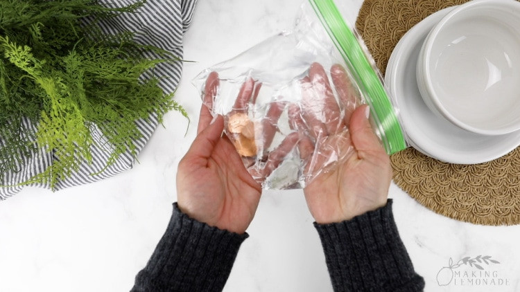 Close-up of pennies inside a water-filled plastic bag for fly deterrence