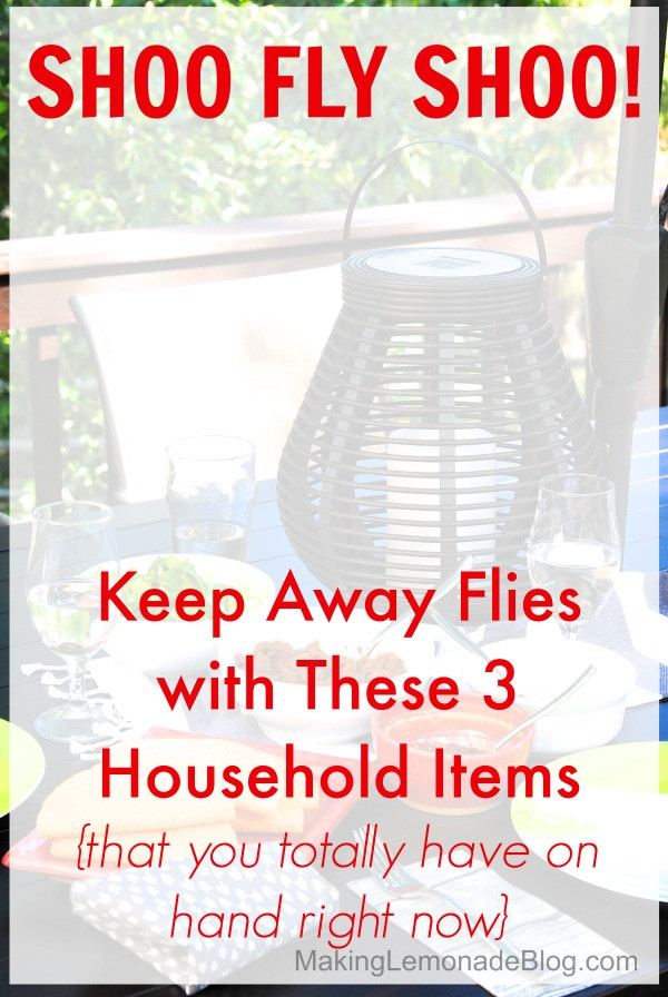 Glasses of water with pennies, a simple solution for keeping flies away at picnics