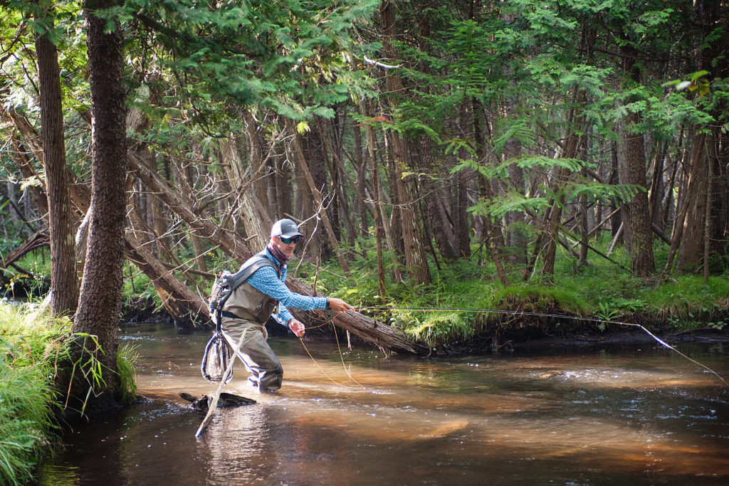 Northern Michigan offers plenty of options for August heat showcasing a small stream surrounded by lush greenery.