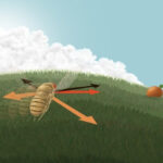 Close-up of a fly in a miniature harness used in a Rockefeller University study to investigate how fly brains navigate. The research reveals flies use vector math for direction calculation.
