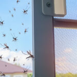 mosquitos outside window