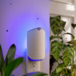 Does Zevo Work on Fruit Flies? An In-Depth Review for a Pest-Free Home