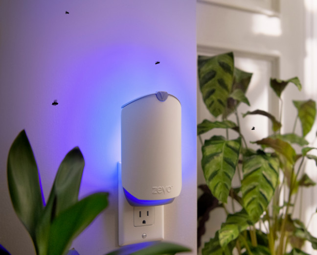 Does Zevo Work on Fruit Flies? An In-Depth Review for a Pest-Free Home