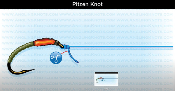 Step 5: Completed Pitzen knot on a fly, showing tag end exiting correctly.