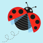 Ladybug catching a current at high altitude to fly