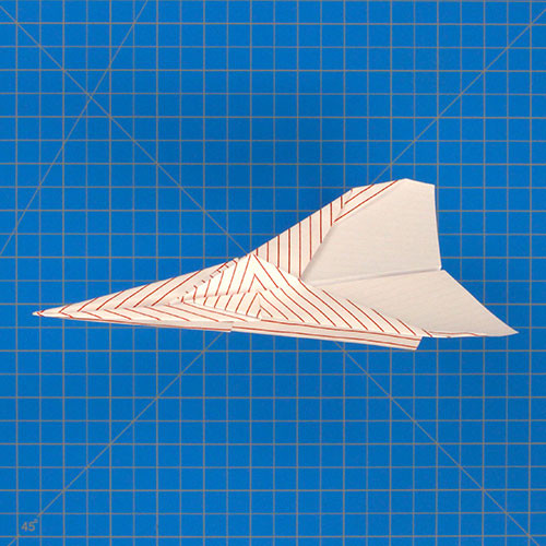 The Bird Paper Airplane for Long Distance Flight