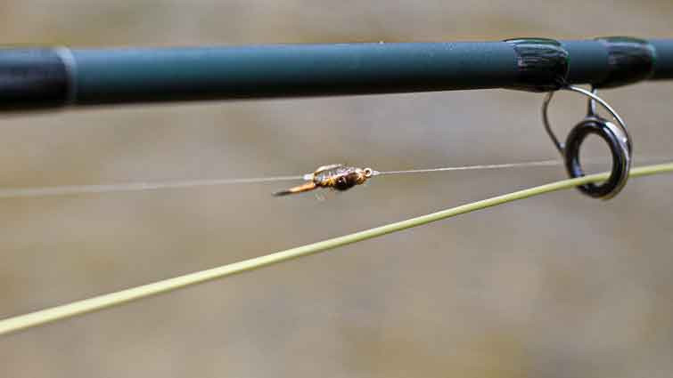Leader and tippet setup with fly attached