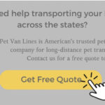 transporting-large-dog-1024x513.png