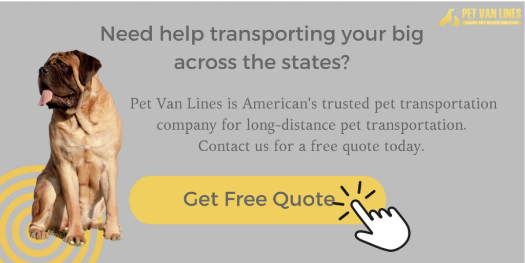 transporting-large-dog-1024x513.png