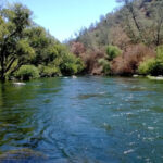 Is Putah Creek Fly Fishing Only? A Comprehensive Guide to Regulations and Techniques
