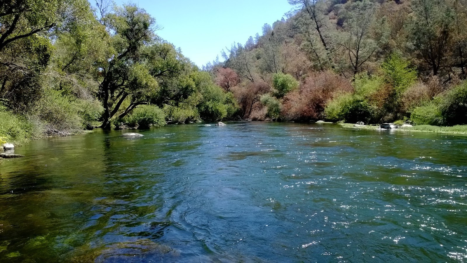 Is Putah Creek Fly Fishing Only? A Comprehensive Guide to Regulations and Techniques