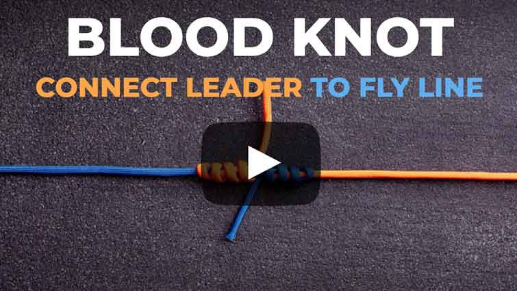 Blood Knot Tying Tutorial - Click to Watch