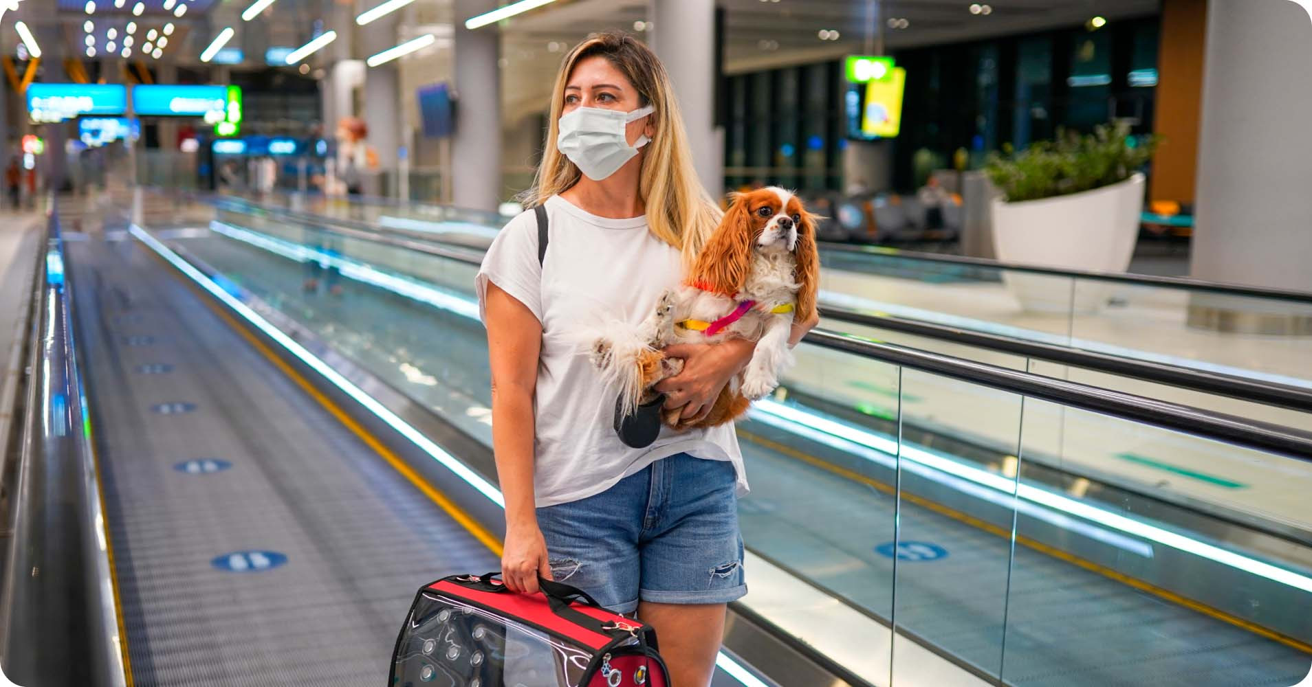 An image of woman with a dog on hands