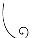 Initial curve for bird drawing