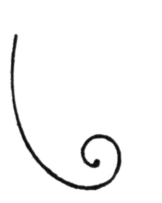 Initial curve for bird drawing