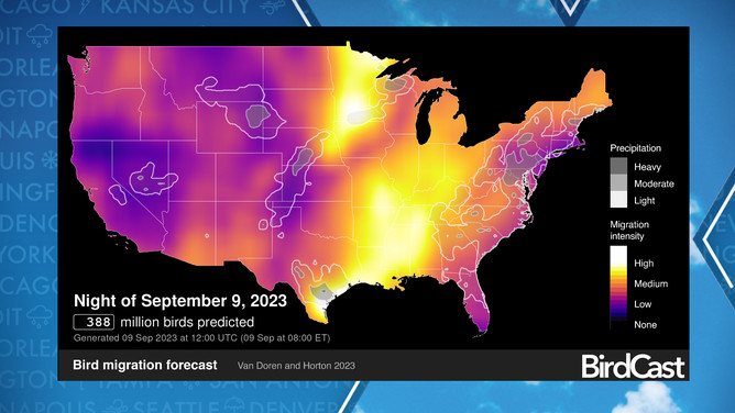 Bird migration forecast