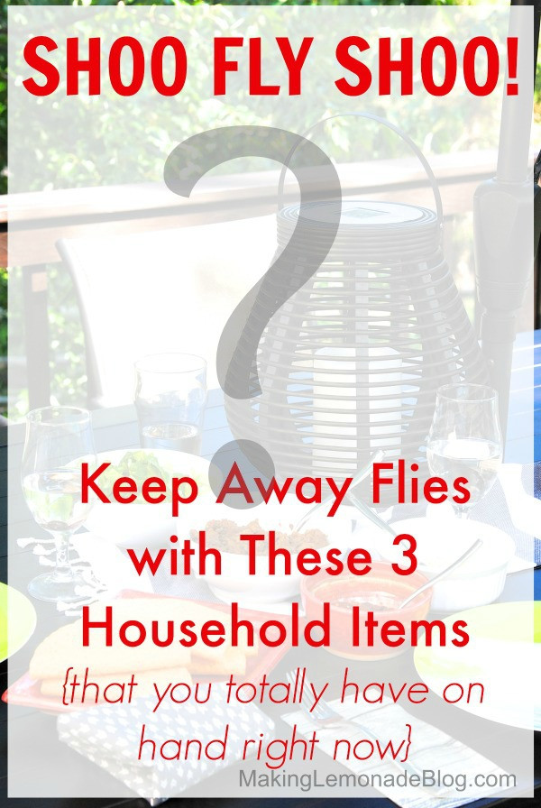 How To Keep Flies Away Outside