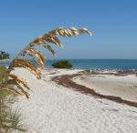 Tranquil beaches at Curry Hammock State Park.