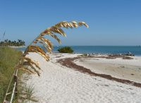 Tranquil beaches at Curry Hammock State Park.
